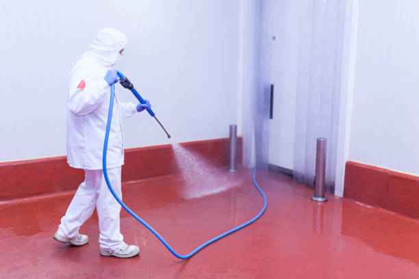 Best Spring Cleaning  in Monticello, WI